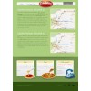 pizza pasta web template