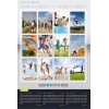 motion site template