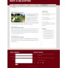 Helicopter transport web template