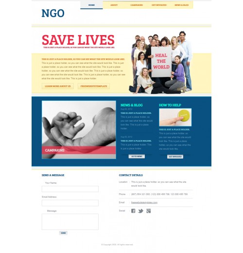 NGO template