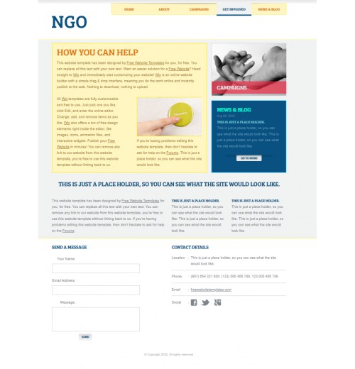 NGO template